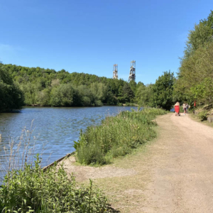 The path around Vicar Water, the lake to the left, the headstocks visible over the trees.